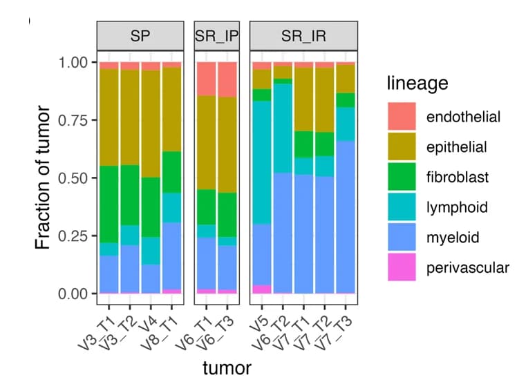 Open access visualization of Stacked Bar Plot, Bar Plot, Tumor, Cell Lineage, Stromal-Rich