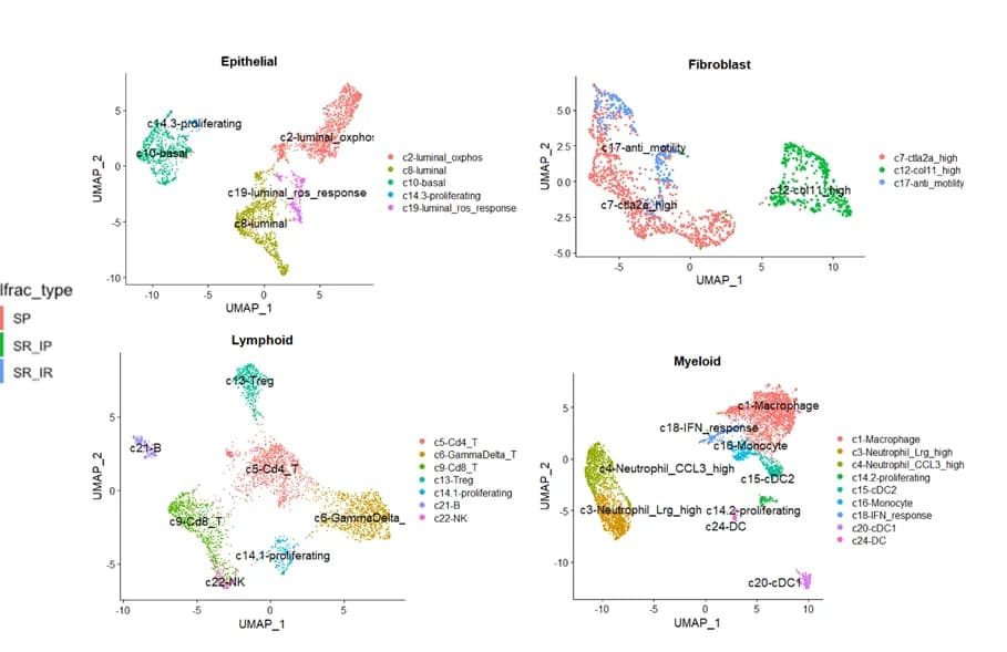 Open access visualization of UMAP, Scatter Plot, Lineages, Clustering, iNMF factors