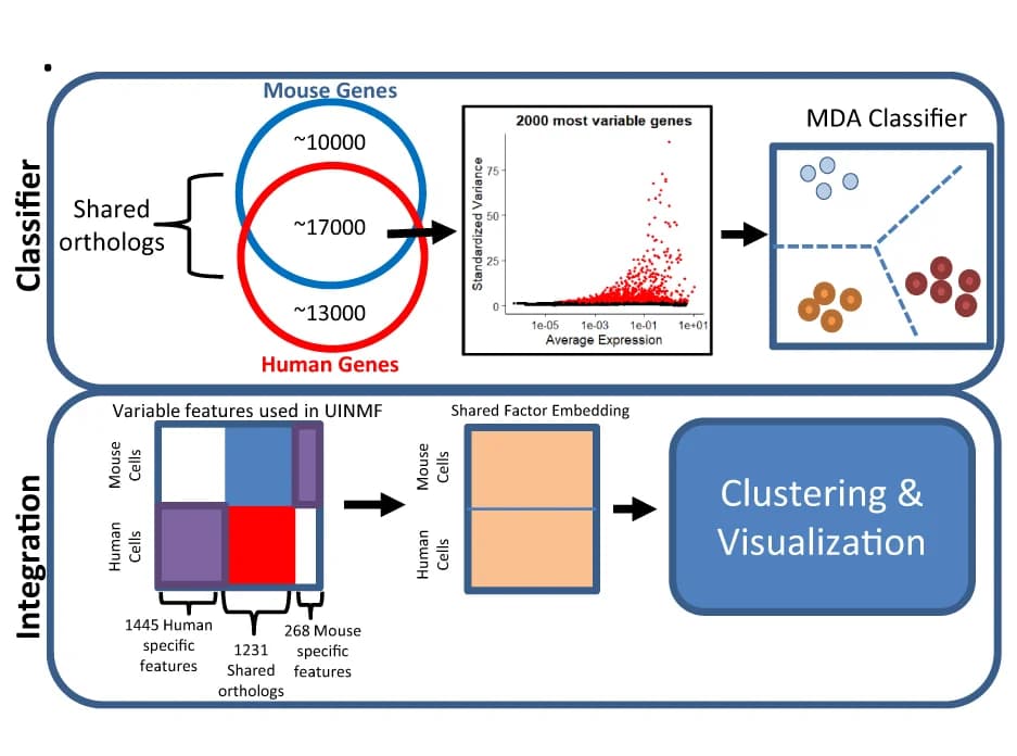Open access visualization of Workflow, Venn Diagram, Scatter Plot, Illustration, Classifier