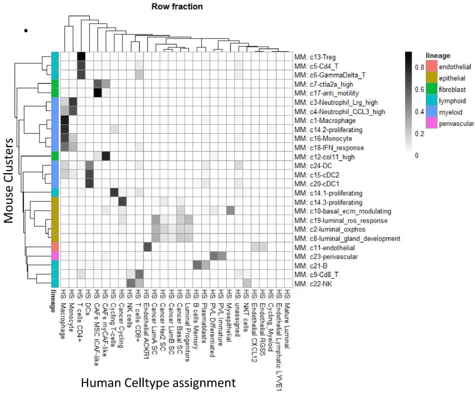 Open access visualization of Heatmap, Clustered, Myc;Ptenfl, Unsupervised clusters, Classifier assignment