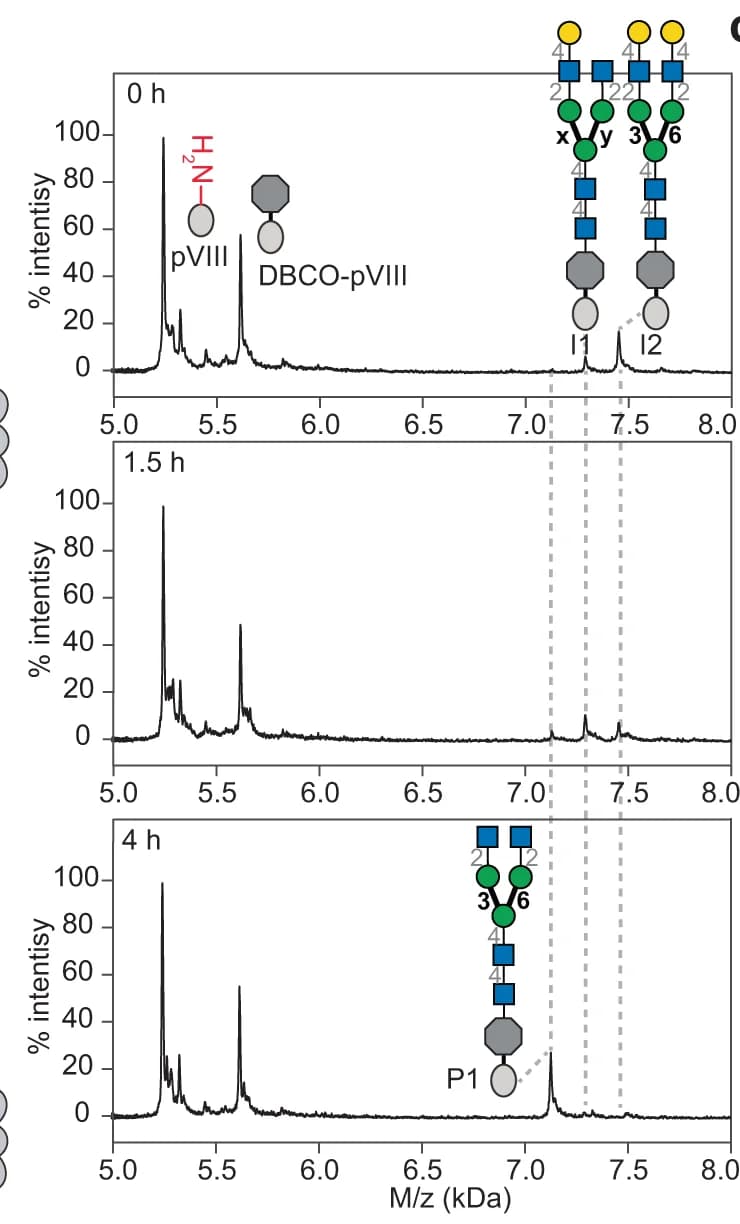 Open access visualization of Line Plot, MALDI-TOF MS, beta-Galactosidase