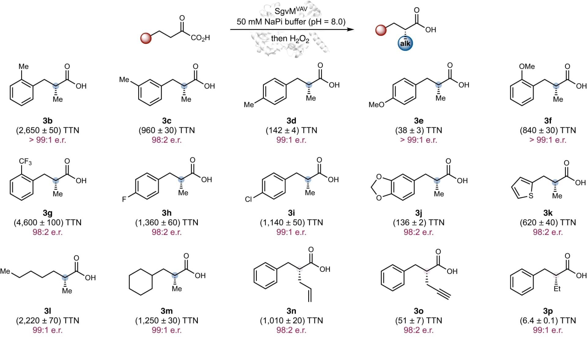 Open access visualization of Chemical Structure, SgvM VAV, Enantioselective Methylation, Alpha-Keto Acids, Alkylation