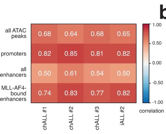 Open access visualization of Heatmap, H3K27ac, MLL ChIP-seq, TOPmentation signal, ATAC peaks