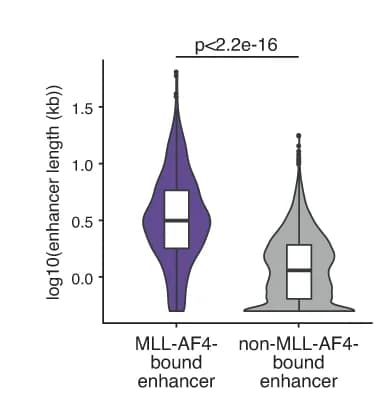 Open access visualization of Violin Plot, Box Plot, Enhancers, MLL-AF4, SEM cells