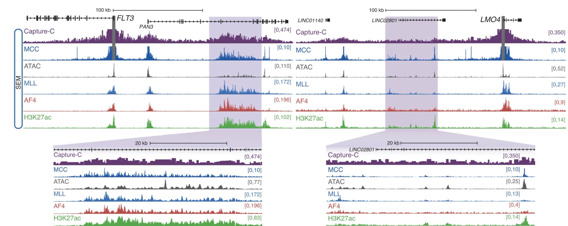 Open access visualization of Line Plot, Capture-C, Micro-Capture-C, MCC, ATAC-seq