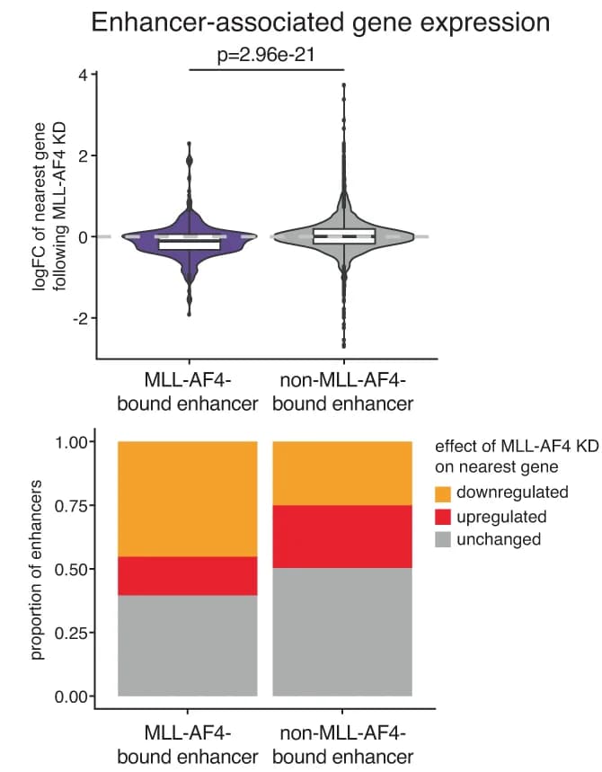 Open access visualization of Violin Plot, Stacked Bar Plot, Gene Expression, SEM Cells, MLL-AF4