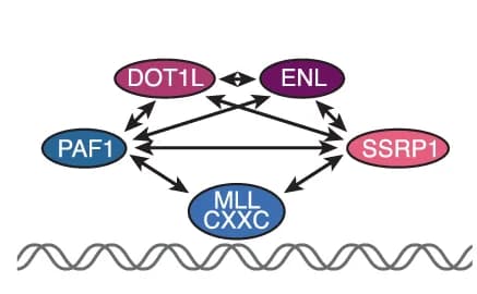Open access visualization of Network, Pathway, Model, In Vivo Interactions