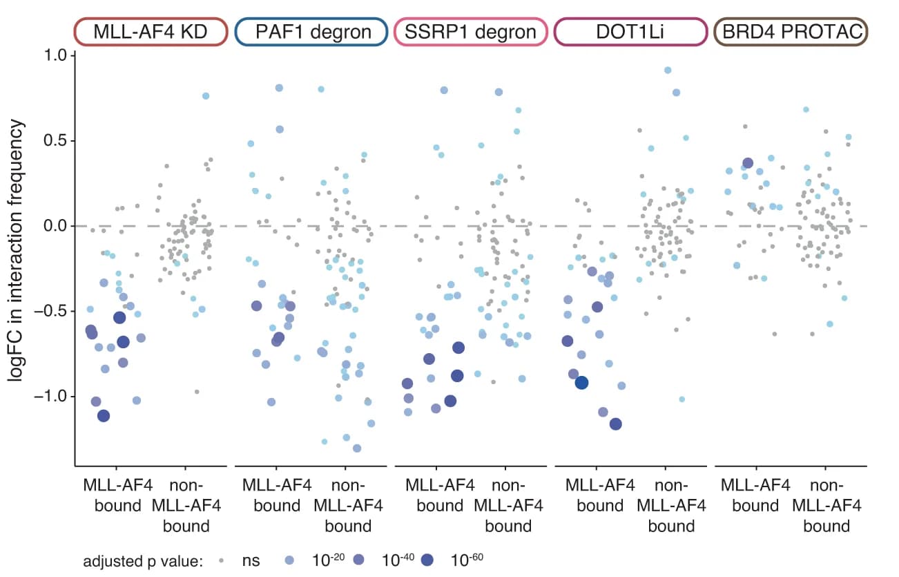 Open access visualization of Scatter Plot, Bubble Plot, Statistical analysis, Capture-C, Promoters