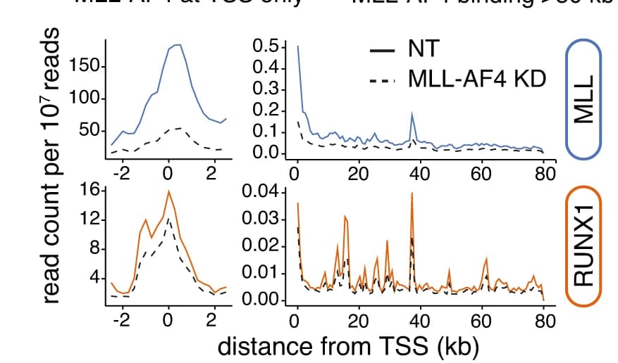 Open access visualization of Line Plot, ChIP-seq, MLL-AF4 knockdown, Promoters, MLL-AF4 binding domain