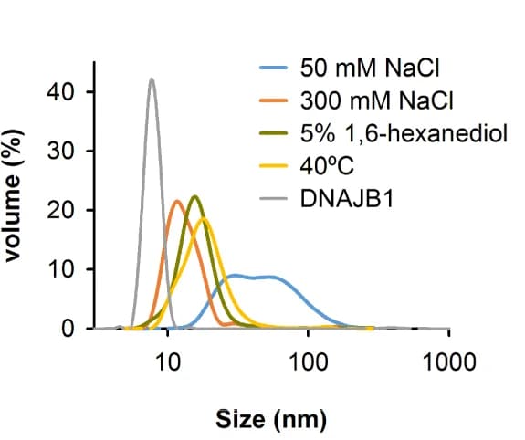 Open access visualization of Line Plot, Density Plot, DLS, DNAJA2, DNAJB1