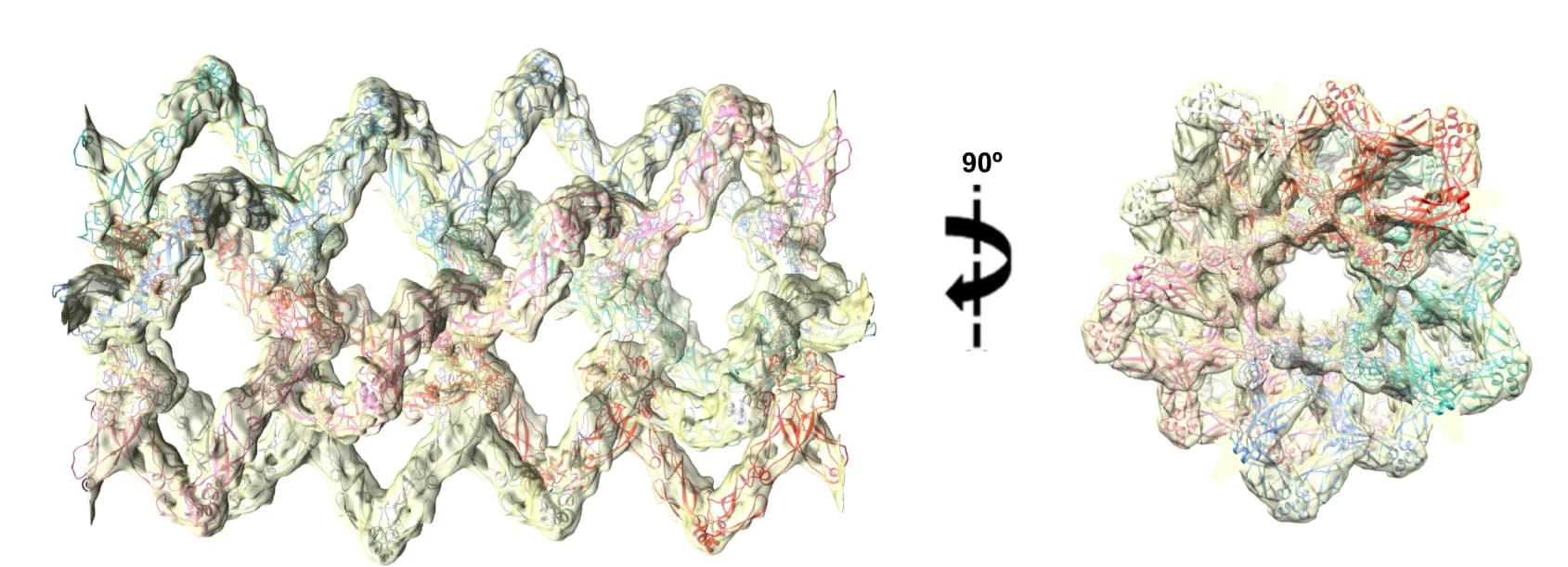 Open access visualization of Protein Structure, Atomic Model, 3D Reconstruction, DNAJA2ΔG/FR, Oligomer