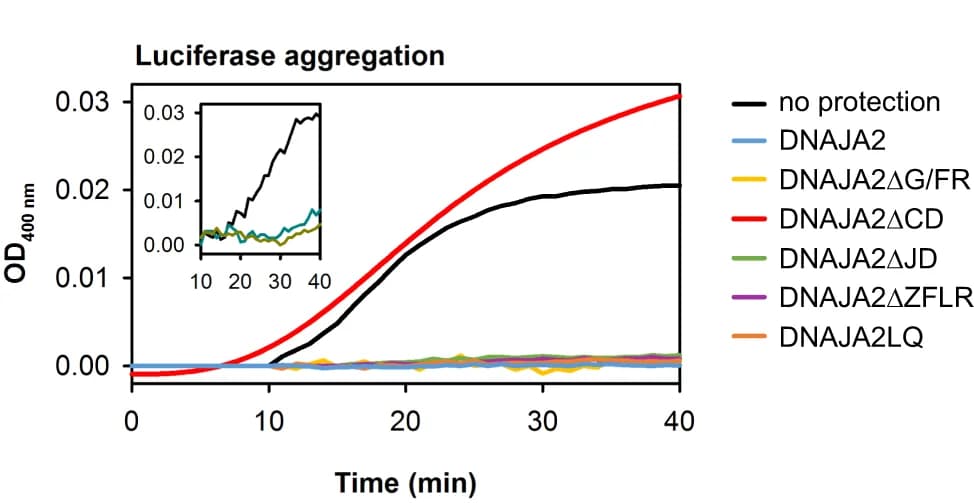 Open access visualization of Line Plot, Luciferase, JDP, ATP, Hsc70