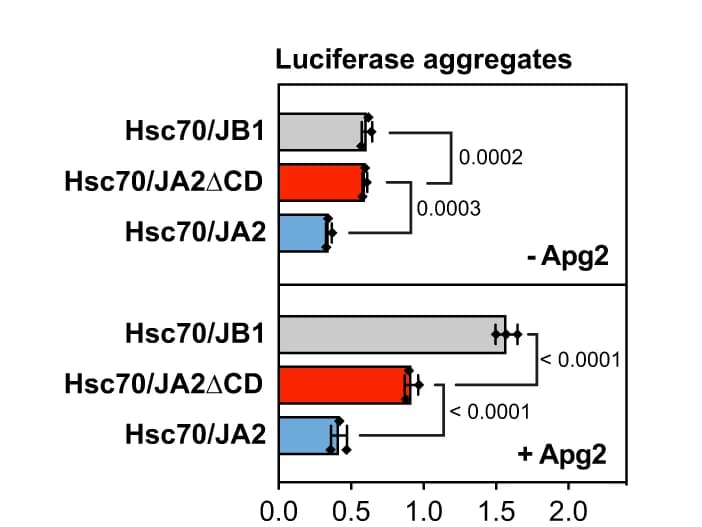 Open access visualization of Bar Plot, Error Bars, Luciferase, G6PDH, Hsc70