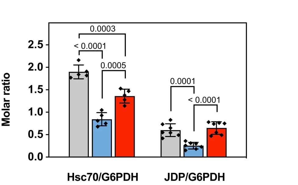 Open access visualization of Bar Plot, Error Bars, Hsc70, G6PDH, J-domain Proteins