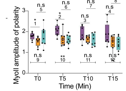 Open access visualization of Box Plot, Scatter Plot, Polarity, Genotypes