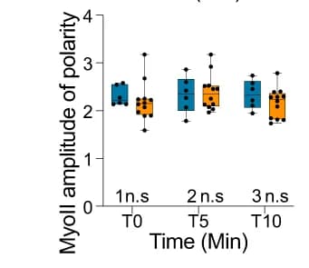 Open access visualization of Box Plot, Scatter Plot, Polarity, Amplitude, Quantification