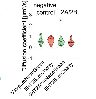 Open access visualization of Violin Plot, Diffusion Coefficient, Quantification