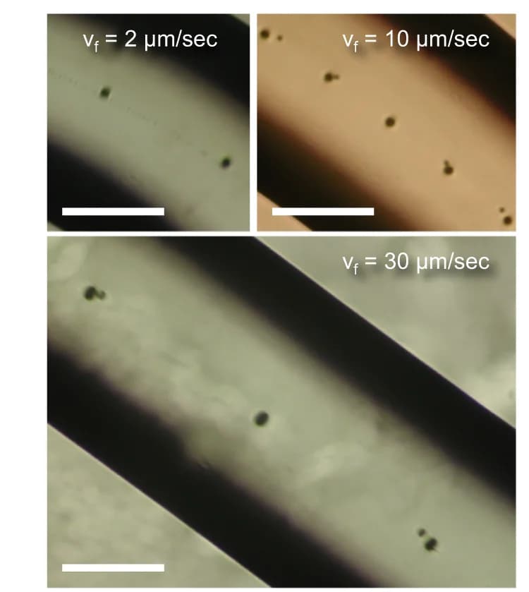 Open access visualization of Microscopy, Fiber breakup