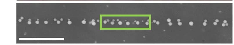 Open access visualization of Microscopy, Scanning Electron Microscope, SEM micrograph, Si spheres