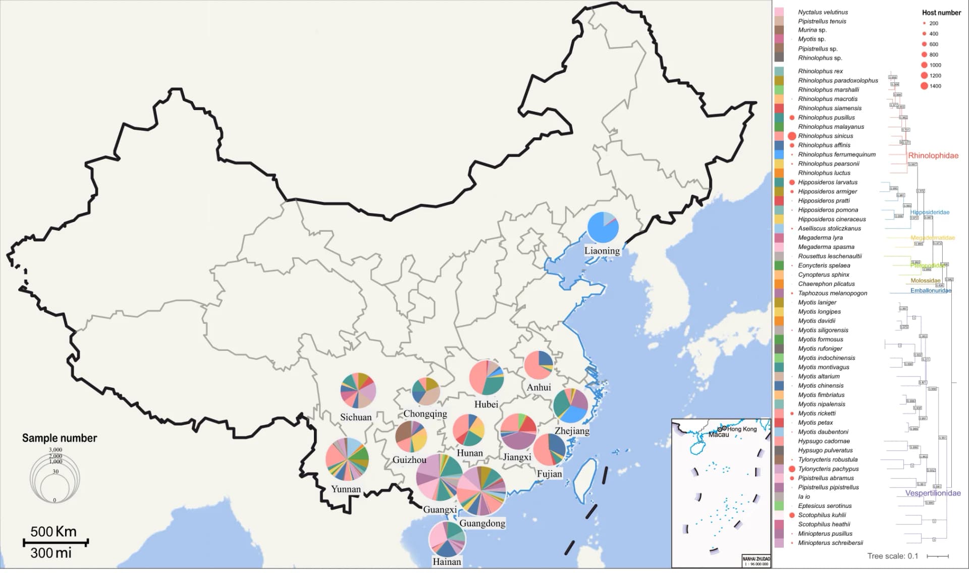 Open access visualization of Geo Map, Pie Chart, Tree, Bat Sampling, Provinces