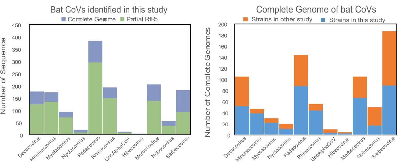Open access visualization of Stacked Bar Plot, Bar Plot, Identified Strains, RDRP, Complete Genomes