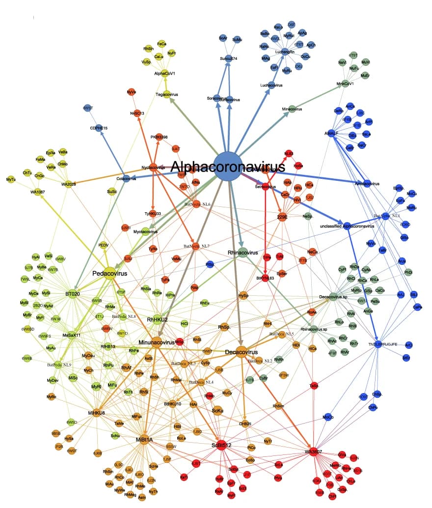Open access visualization of Network, Pathway, Virus Network, Alphacoronavirus, Host