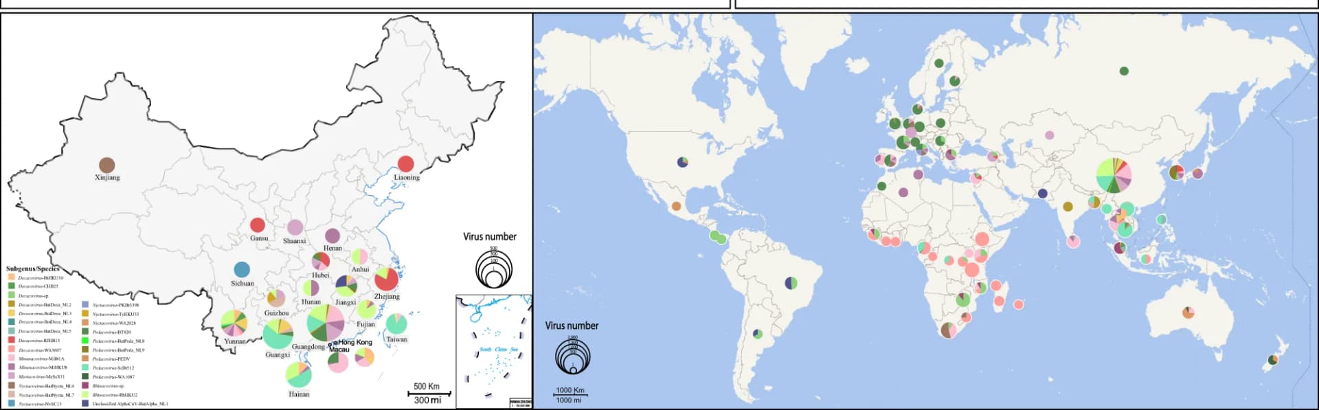 Open access visualization of Geo Map, Pie Chart, Distribution, Proportion, China