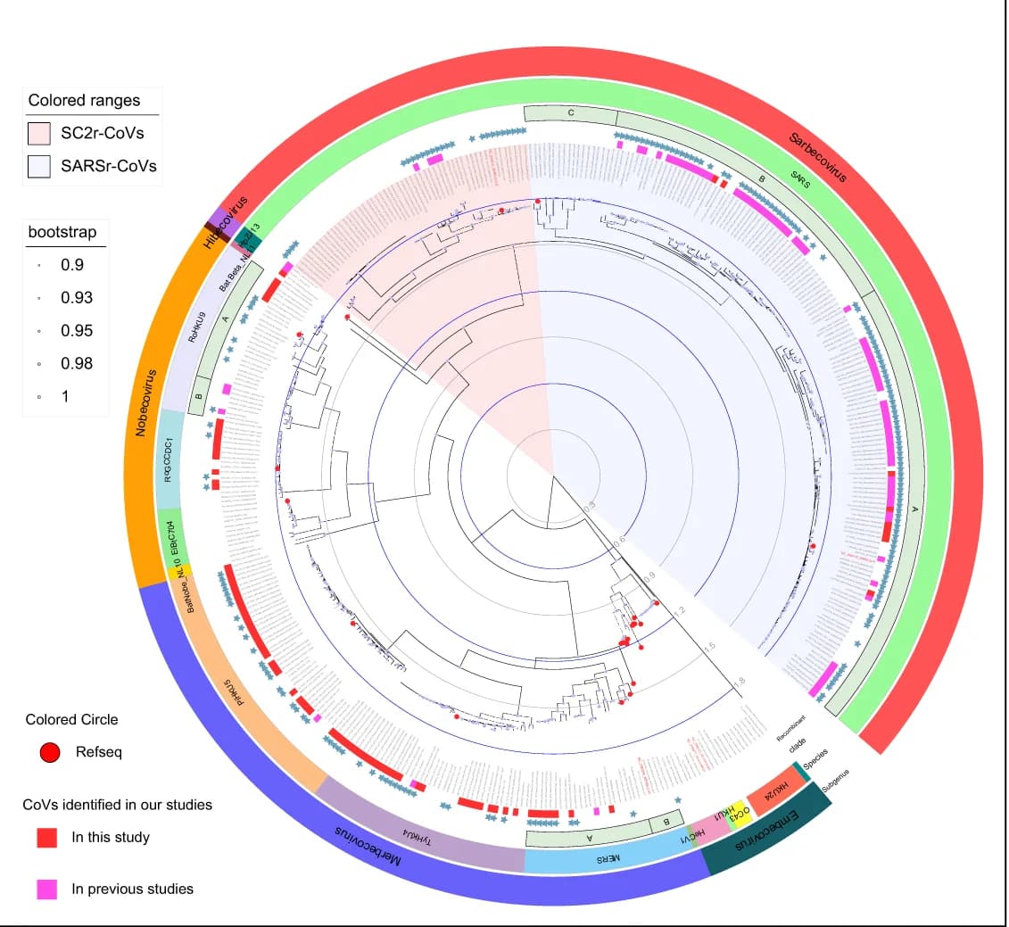 Open access visualization of Network, Pathway, Phylogenetic Tree, ORF1ab, Recombinant Sequences
