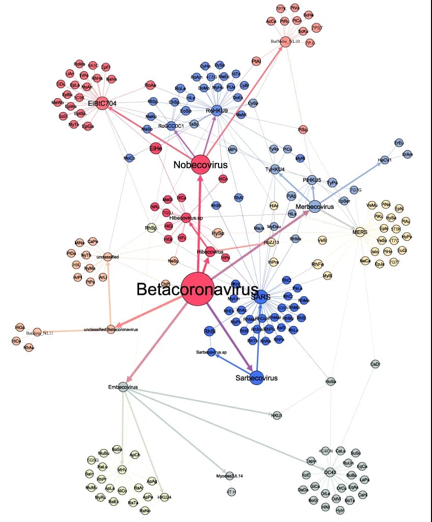 Open access visualization of Network, Pathway, Virus Network, Betacoronavirus, Host