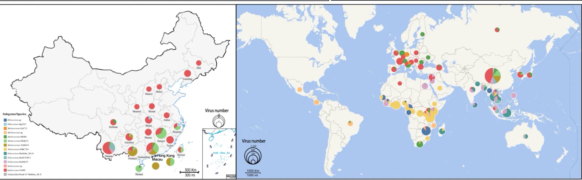 Open access visualization of Geo Map, Pie Chart, Virus Distribution, Virus Proportion, China