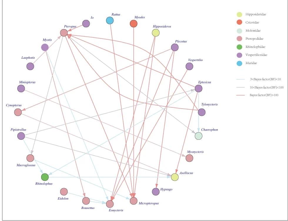 Open access visualization of Network, Pathway, Host Switches, Beta-CoVs, Bayes Factor