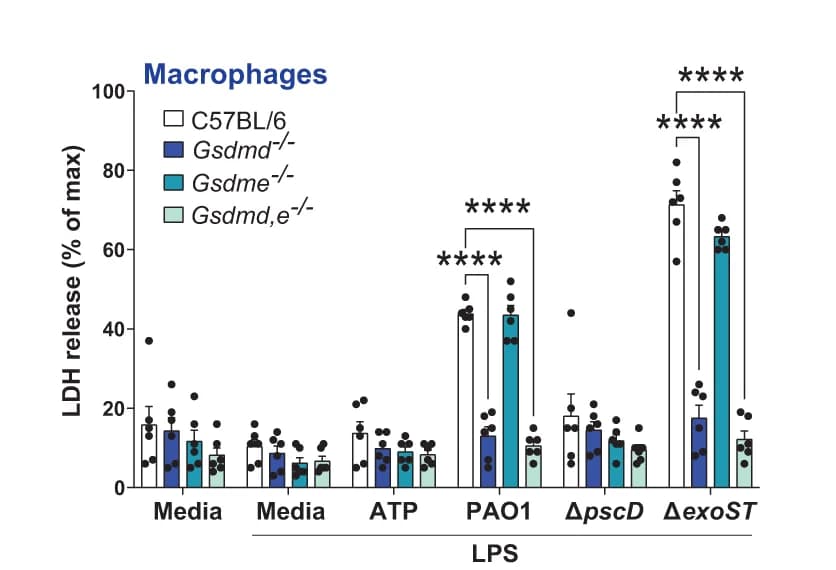 Open access visualization of Bar Plot, Error Bars, Scatter Plot, IL-1β, LDH