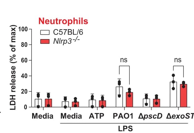 Open access visualization of Bar Plot, Error Bars, Clustered, Bone Marrow Derived Macrophages, Bone Marrow Neutrophils