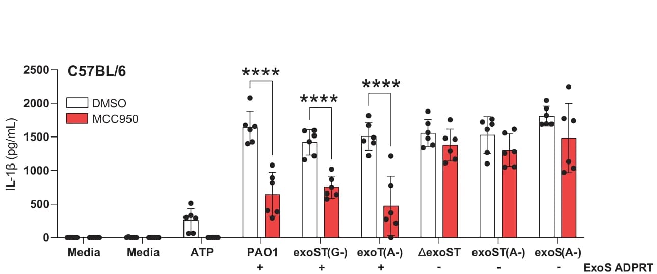 Open access visualization of Bar Plot, Error Bars, Clustered, Neutrophils, Mice