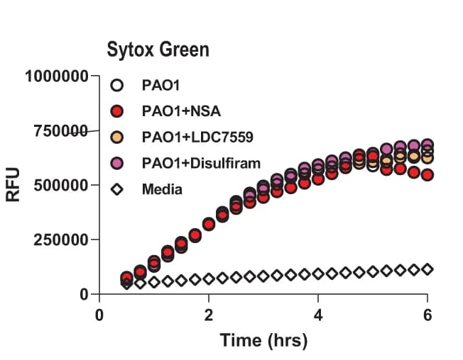 Open access visualization of Line Plot, Scatter Plot, NETosis, Peritoneal Neutrophils, GSDMD Inhibitors