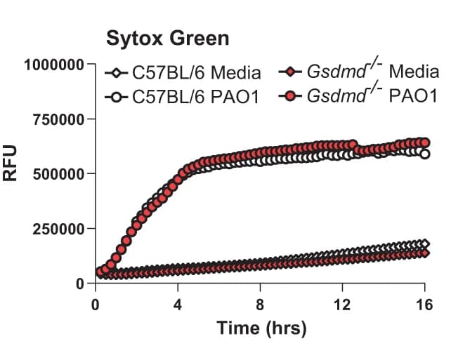Open access visualization of Line Plot, Extracellular DNA, Sytox, Peritoneal Neutrophils, C57BL/6 Mice