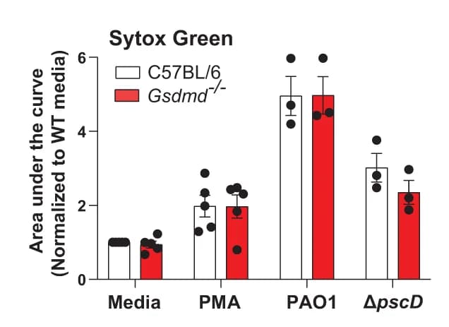 Open access visualization of Bar Plot, Error Bars, Clustered, Extracellular DNA, Sytox