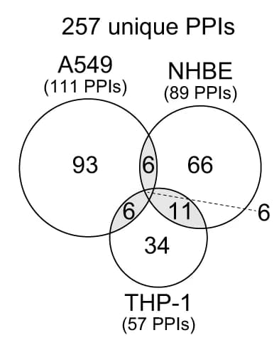 Open access visualization of Venn Diagram, IAV-Human PPIs, Cell Type, Virus Strains, PPIs