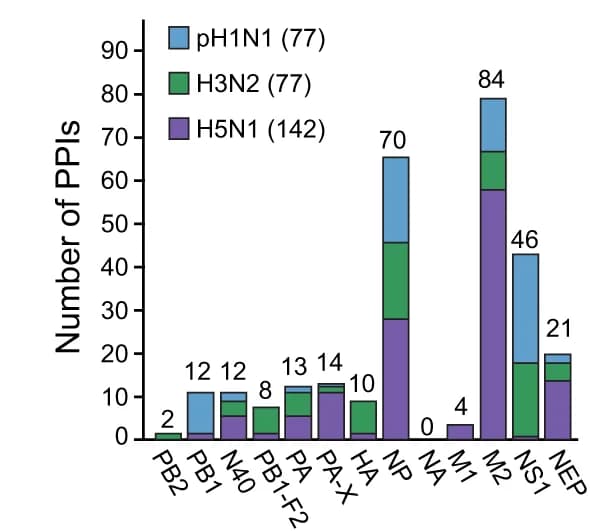 Open access visualization of Stacked Bar Plot, Bar Graph, IAV-Human PPIs, IAV Protein, Cell Types