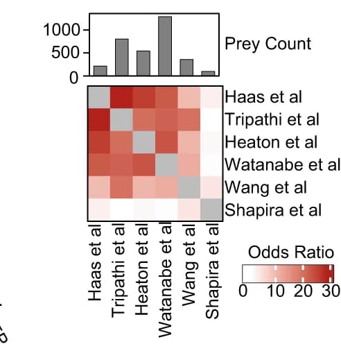 Open access visualization of Heatmap, Bar Plot, Histogram, Correlation Matrix, Human Interacting Proteins