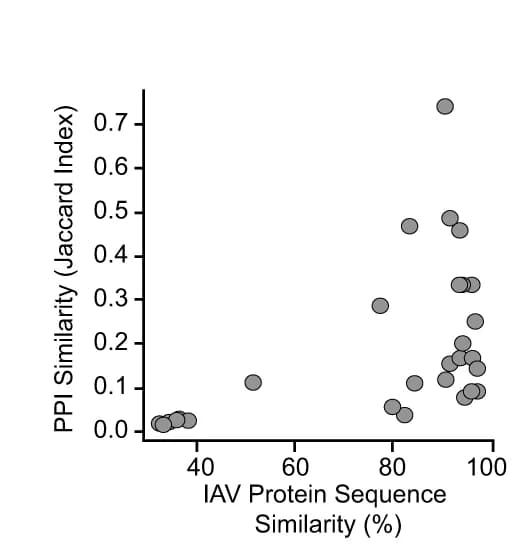 Open access visualization of Scatter Plot, Protein Interactions, PPI Similarity, Jaccard Index, IAV Protein