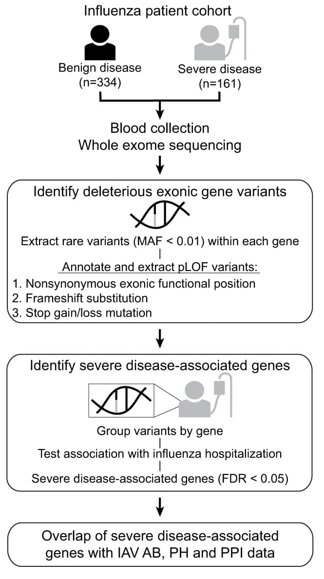 Open access visualization of Workflow, Flowchart, Sample Collection, Data Analysis, pLOF Variants