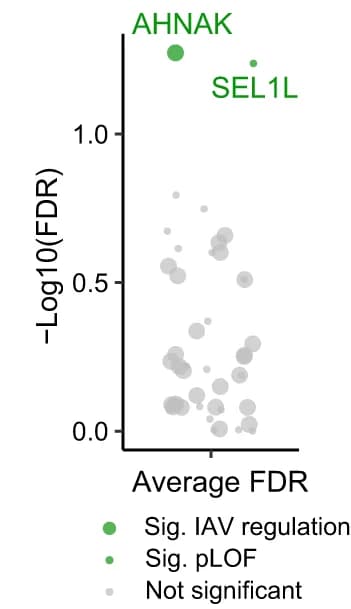 Open access visualization of Scatter Plot, Bubble Plot, Volcano Plot, False Discovery Rate, AB Dataset