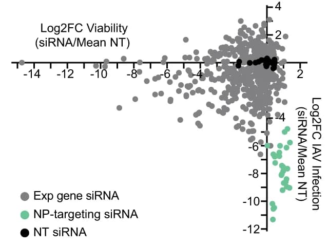 Open access visualization of Scatter Plot, Volcano Plot, Correlation plots, Cell viability, IAV infection