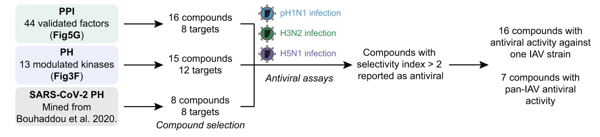 Open access visualization of Workflow, Flowchart, IAV PPI factors, Kinases, Antiviral Activity
