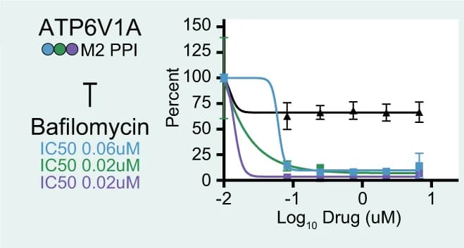Open access visualization of Line Plot, Error Bars, A549 Cells, pH1N1, H3N2