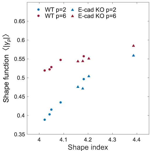 Open access visualization of Scatter Plot, Shape Index, Shape Function