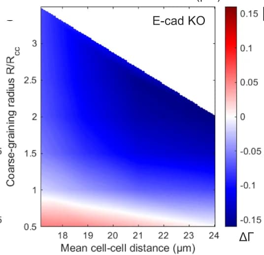 Open access visualization of Heatmap, Hexatic Order, Nematic Order, Shape Parameter, Coarse-Graining Radius