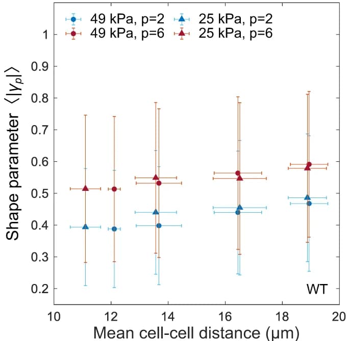 Open access visualization of Scatter Plot, Error Bars, Hexatic Shape Function, Single-Cell Scale, Substrate Stiffness