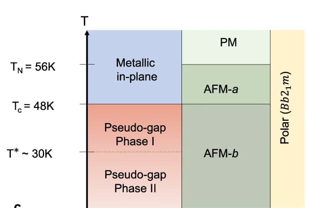 Open access visualization of Illustration, Electronic Phase Diagram, Magnetic Phase Diagram